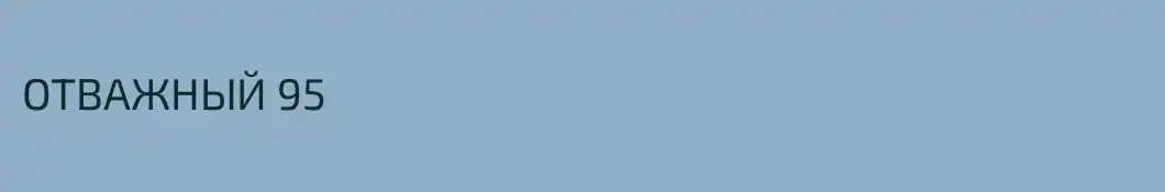 ОТВАЖНЫЙ 95